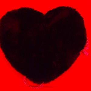 Here I am selling a pretty, cute heart purse